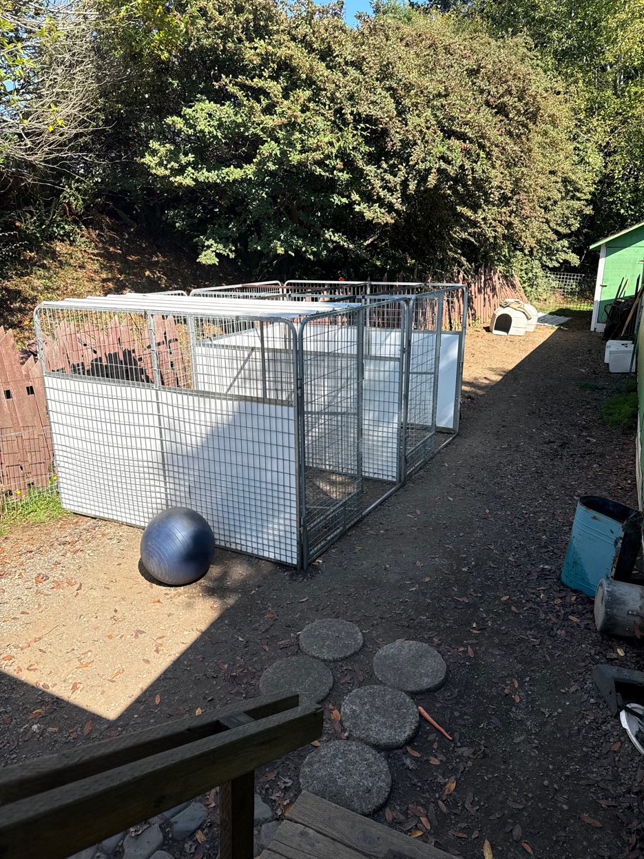 Harbor Kennels kennel runs
