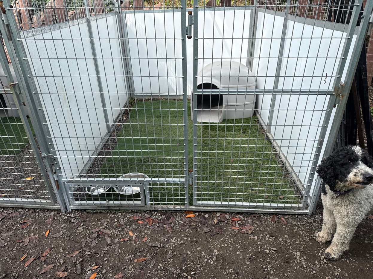 Harbor Kennels boarding facility